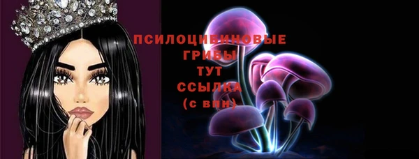 амфетамин Богородск