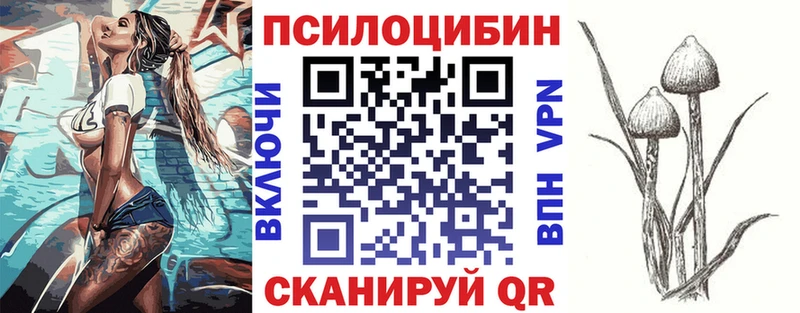 mega вход  Чита  Галлюциногенные грибы прущие грибы  наркота 